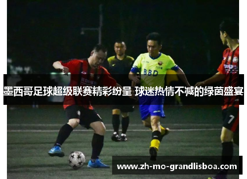 墨西哥足球超级联赛精彩纷呈 球迷热情不减的绿茵盛宴 墨西哥足球超级联赛精彩纷呈 球迷热情不减的绿茵盛宴